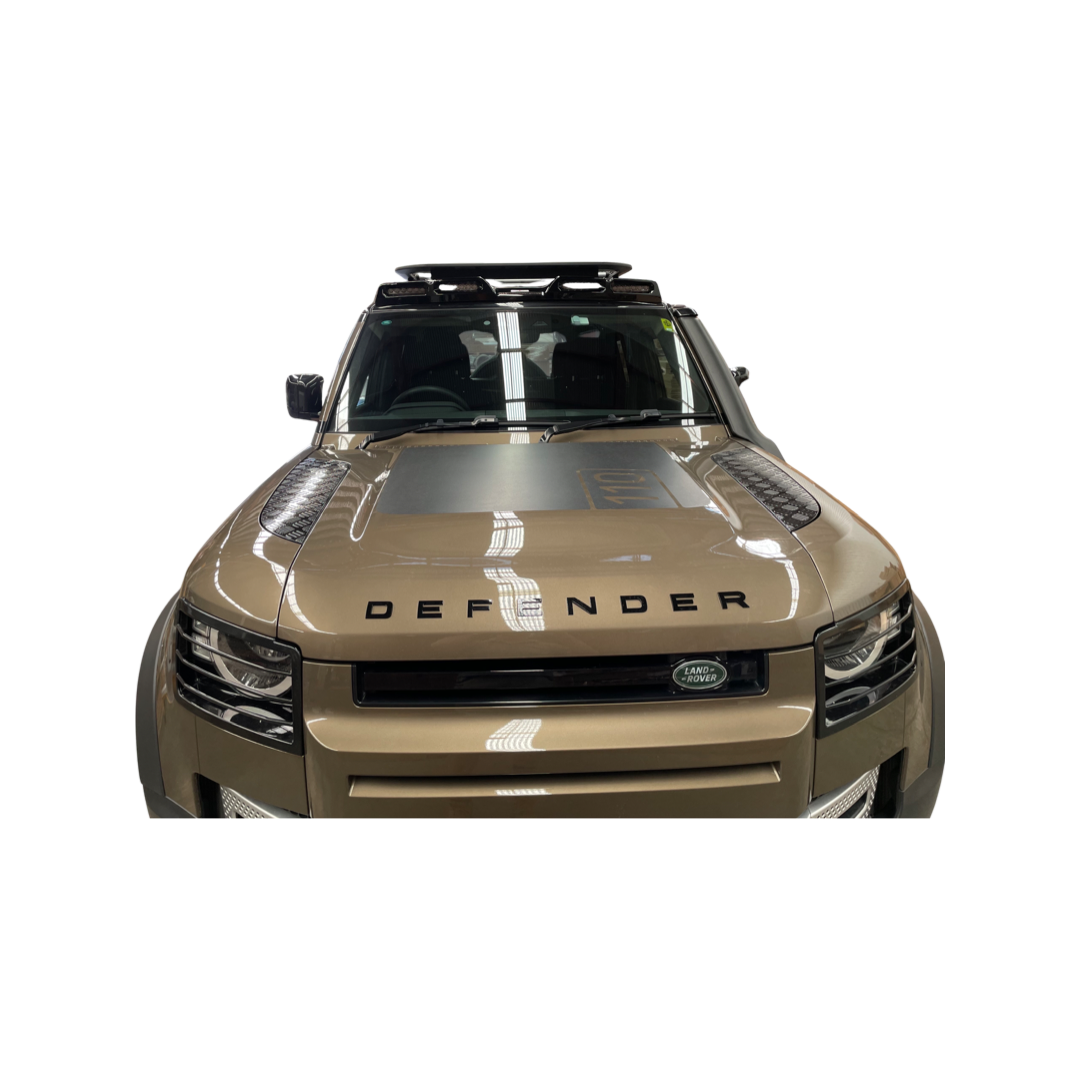Headlight Grille set 2 pc