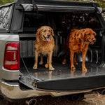 EPIC AirShell Canopy - There When You Need It, Gone When You Don't.