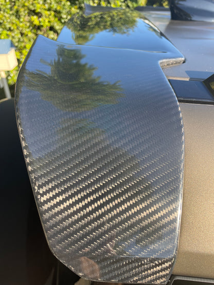 Rear Spoiler Carbon Fiber
